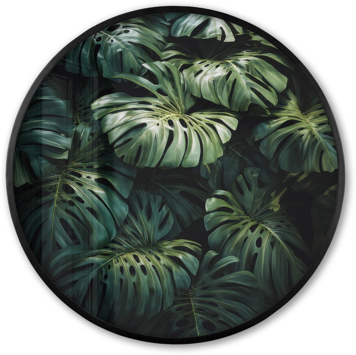 FrameYourWall Poster in lijst Rond - Fotolijst 60x60 cm - Posters - Plant - Monstera - Lichtinval - Ronde posterlijst zwart - Decoratie - Wanddecoratie woonkamer - Muurdecoratie slaapkamer Bladeren - Glad