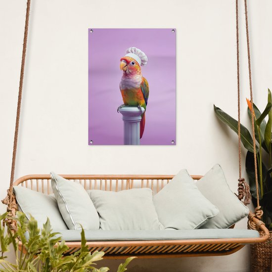 Tuinposter 60x80 cm - Tuindecoratie Papegaai - Koksmuts - Pilaar - Vogel - Poster voor in de tuin - Buiten decoratie - Schutting tuinschilderij - Tuindoek muurdecoratie - Wanddecoratie balkondoek