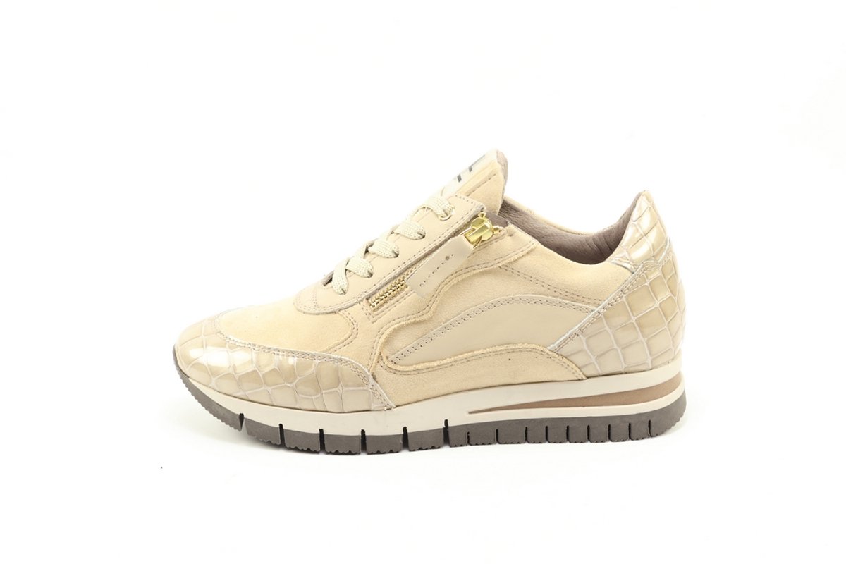 DLSport 6725 versione 0c