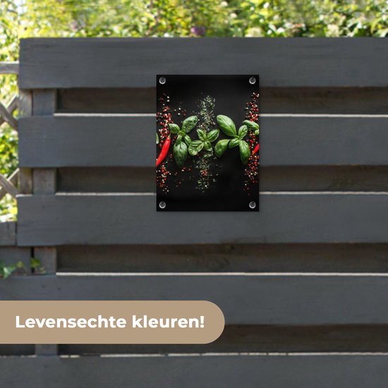 Tuinposter 30x40 cm - Tuindecoratie Chilipepers - Basilicum - Blaadjes - Rood - Poster voor in de tuin - Buiten decoratie - Schutting tuinschilderij - Tuindoek muurdecoratie - Wanddecoratie balkondoek