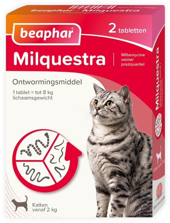 Beaphar Milquestra - Kat 2 Tot 12 kg - 2 tabletten