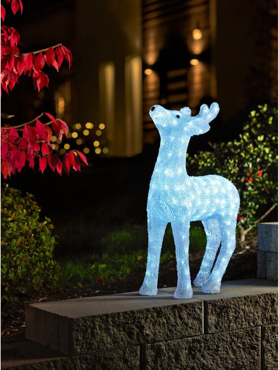 Konstsmide - 176 lamps LED acryl rendier - 60 cm - 24V - voor buiten - koelwit