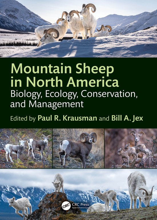 Mountain Sheep in North America - cover