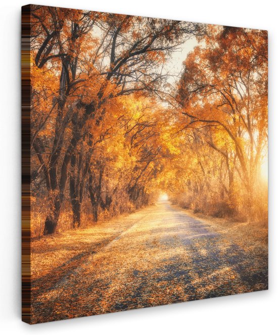 Tableau jardin extérieur 60x60 cm - Décoration de jardin Forêt - Automne - Arbres - Chemin forestier - Nature - Poster jardin sur toile - Décoration murale Jardin - Décoration tableau extérieur - Décoration murale clôture - Toile extérieur