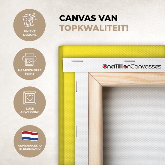 Canvas schilderij 160x80 cm - Exclusieve wanddecoratie Illustratie - Drakenvrucht - Kleurrijk - Muurdecoratie woonkamer - Slaapkamer decoratie - Kamer accessoires - Schilderijen op canvas