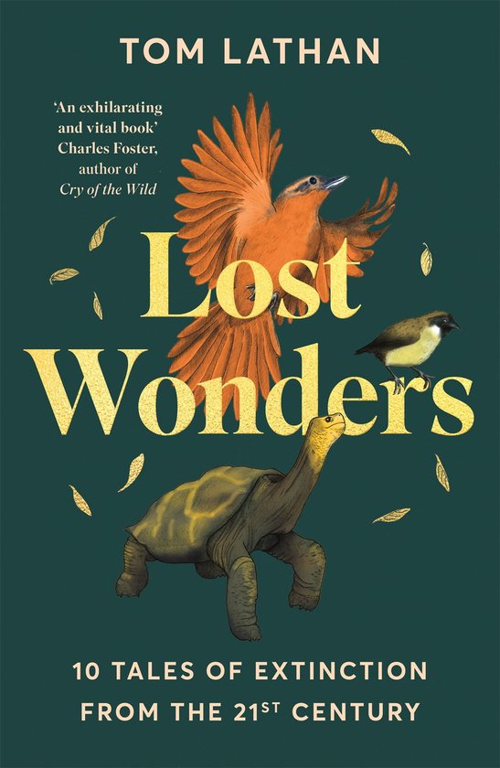 Lost Wonders - cover