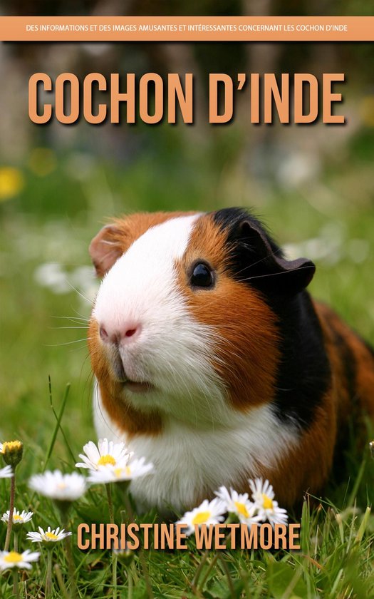 Cochon d’Inde – Des Informations et des Images Amusantes ... - cover