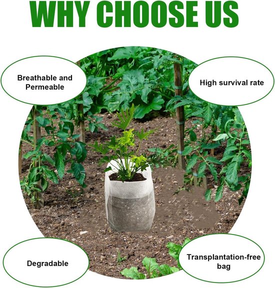 Kweek & Oogsten | Tuincentrum Intratuin Breda