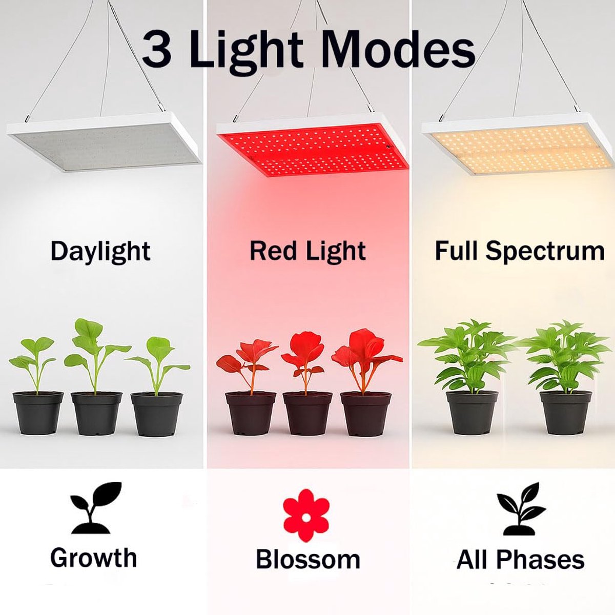LED Groeilamp met klem | voor plantenbak | Kweeklamp | Hoogte instelbaar | Incl. timer |10 watt | VERDI