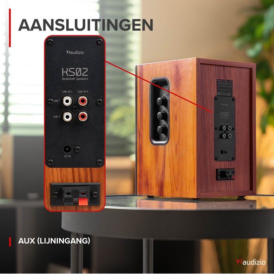 Achterkant van een houten speaker met aansluitingen: LINE IN L, LINE IN R, LINE 2, DC IN.