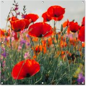 Tuinschilderij - Bloemen - Klaproos - Rood - Tuin - 100x100 cm - Schuttingdoek - Tuinposter - Tuindecoratie - Tuindoek - Buitenposter