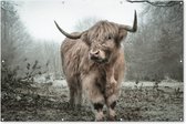 Muurdecoratie Schotse hooglander - Natuur - Herfst - Dieren - Wild - Bos - 180x120 cm - Tuinposter - Tuindoek - Buitenposter