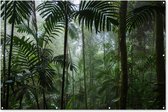 Muurdecoratie Regenwoud - Tropisch - Jungle - Bomen - Planten - 180x120 cm - Tuinposter - Tuindoek - Buitenposter