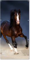 Décoration murale extérieure Paarden - Animaux - Sable - 80x160 cm - Toile de jardin - Poster extérieur