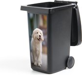 Sticker de poubelle Un chiot Golden Retriever marchant sur le trottoir - 38x80 cm - Sticker Kliko