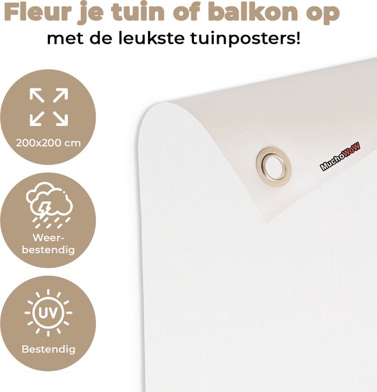 Tuinposter 200x200 cm - Tuindecoratie Schotse hooglander - Gras - Zon - Poster voor in de tuin - Buiten decoratie - Schutting tuinschilderij - Tuindoek muurdecoratie - Wanddecoratie balkondoek