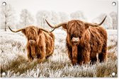 Tuindecoratie Schotse hooglander - Koe - Natuur - Winter - 60x40 cm - Tuinposter - Tuindoek - Buitenposter