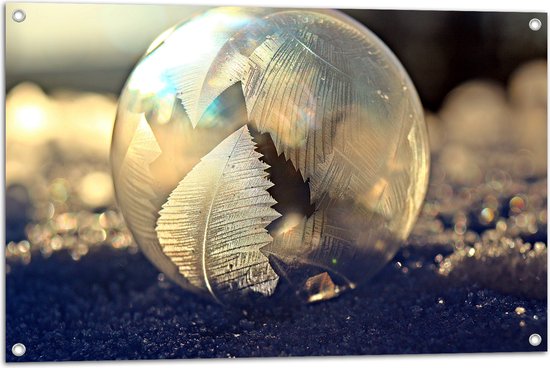 Tuinposter – Bol - Glas - Bladeren - Steentjes - Kleuren - 90x60 cm Foto op Tuinposter (wanddecoratie voor buiten en binnen)