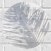 Muursticker Cirkel - Schaduw van Varen Plant op Wit Oppervlak - 30x30 cm Foto op Muursticker