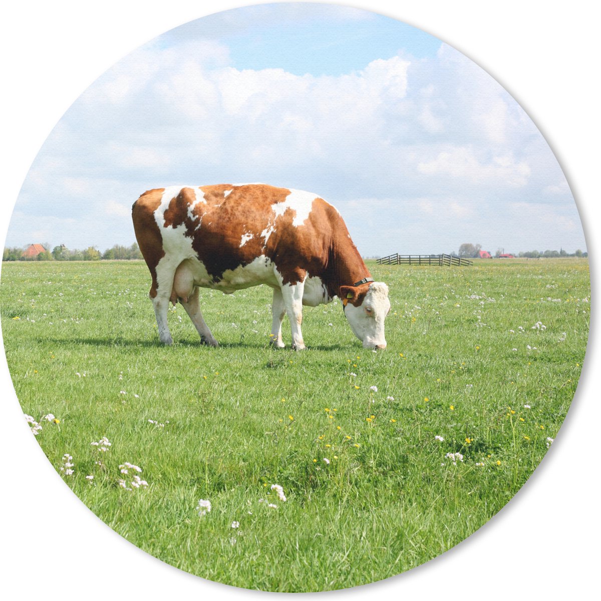 Muismat rond 40x40 cm - Mousepad Koe - Bruin - Wit - Dier - Ronde muismatten