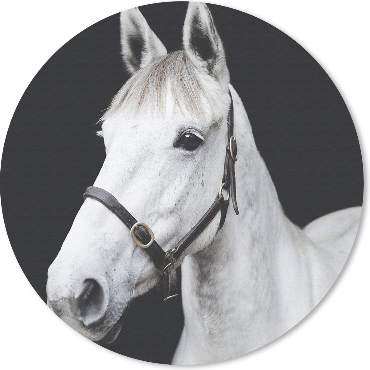 Muismat rond 40x40 cm - Mousepad Paard - Halster - Wit - Ronde muismatten