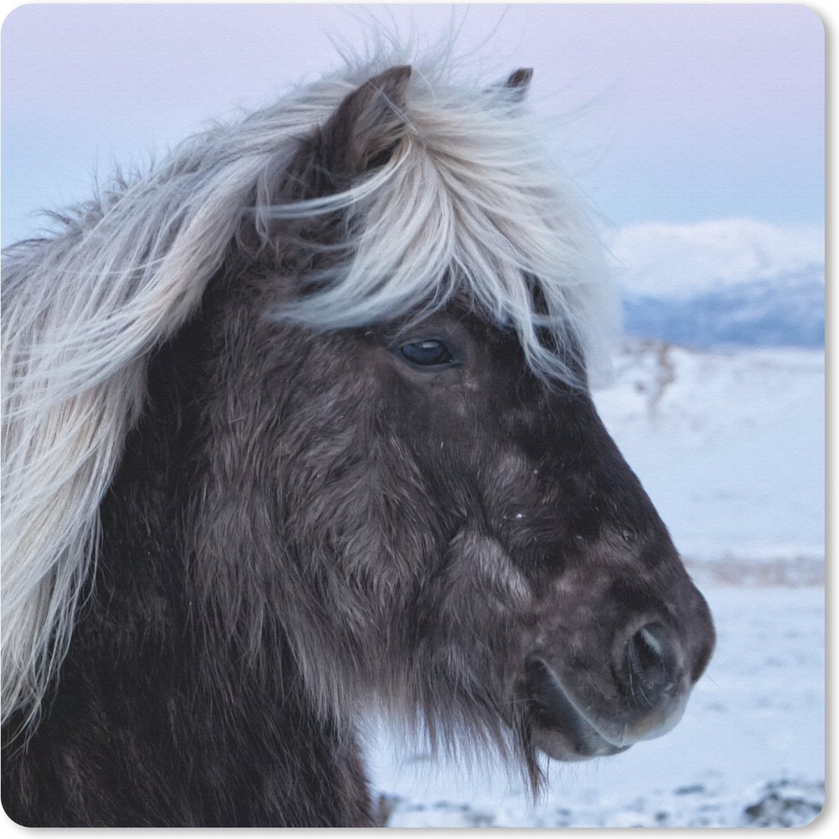 Muismat 20x20 cm - Mousepad Paard - Sneeuw - IJsland - Muismatten