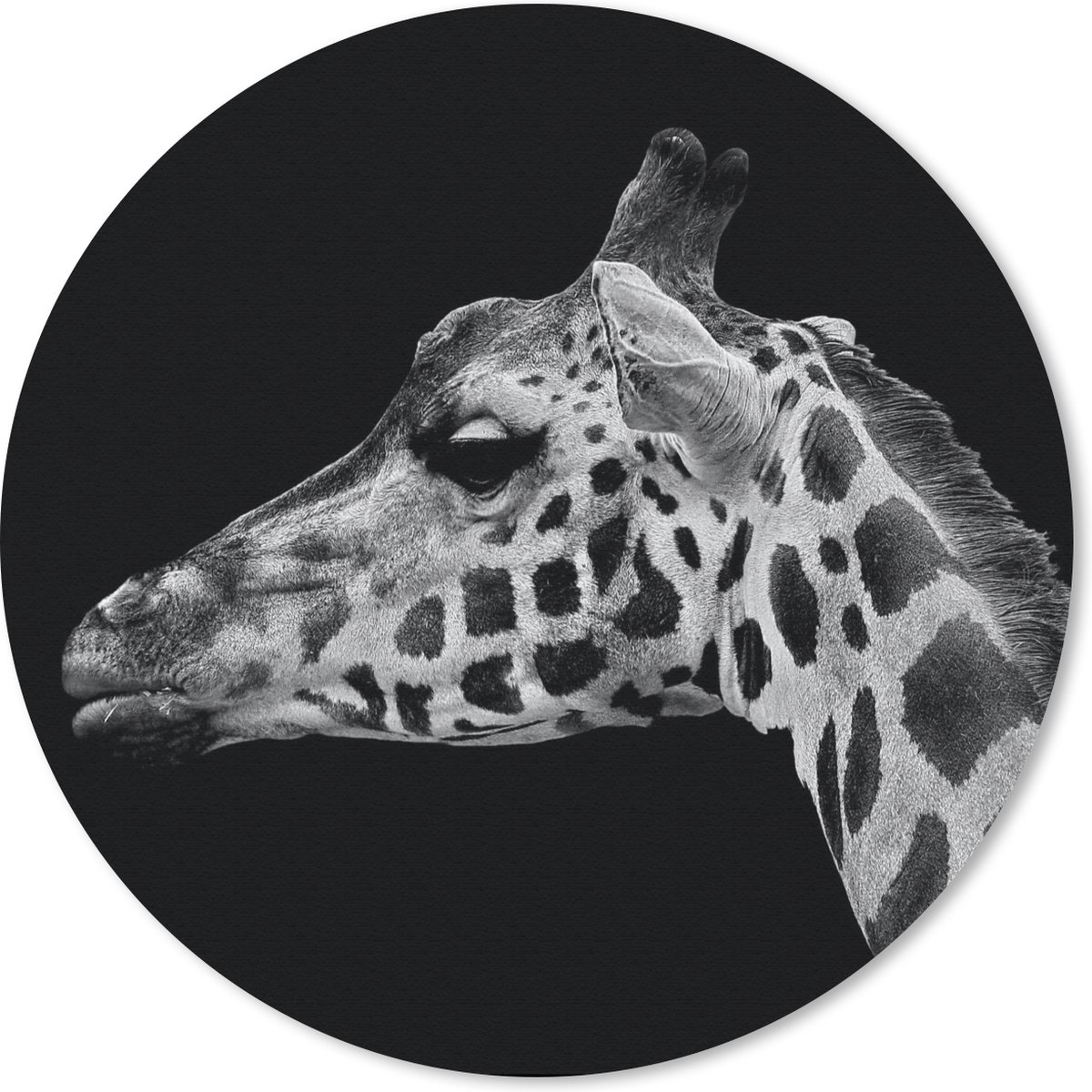 Muismat rond 40x40 cm - Mousepad Dieren - Giraffe - Zwart - Wit - Ronde muismatten