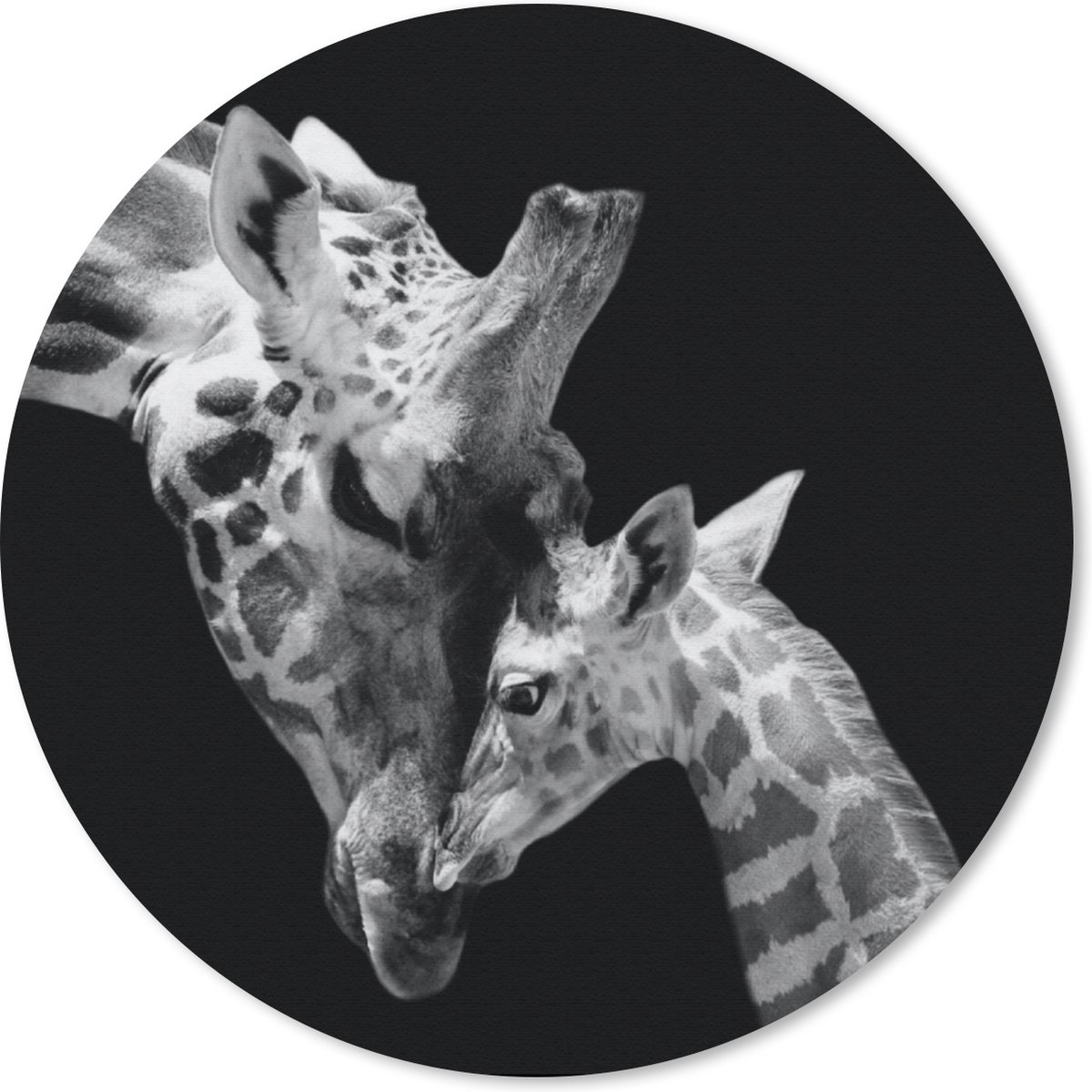 Muismat rond 40x40 cm - Mousepad Giraffe - Wilde dieren - Portret - Zwart wit - Ronde muismatten