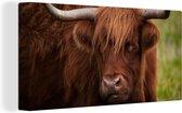 Tableau sur toile Scottish Highlander - Oranje - Animaux - 160x80 cm - Décoration murale