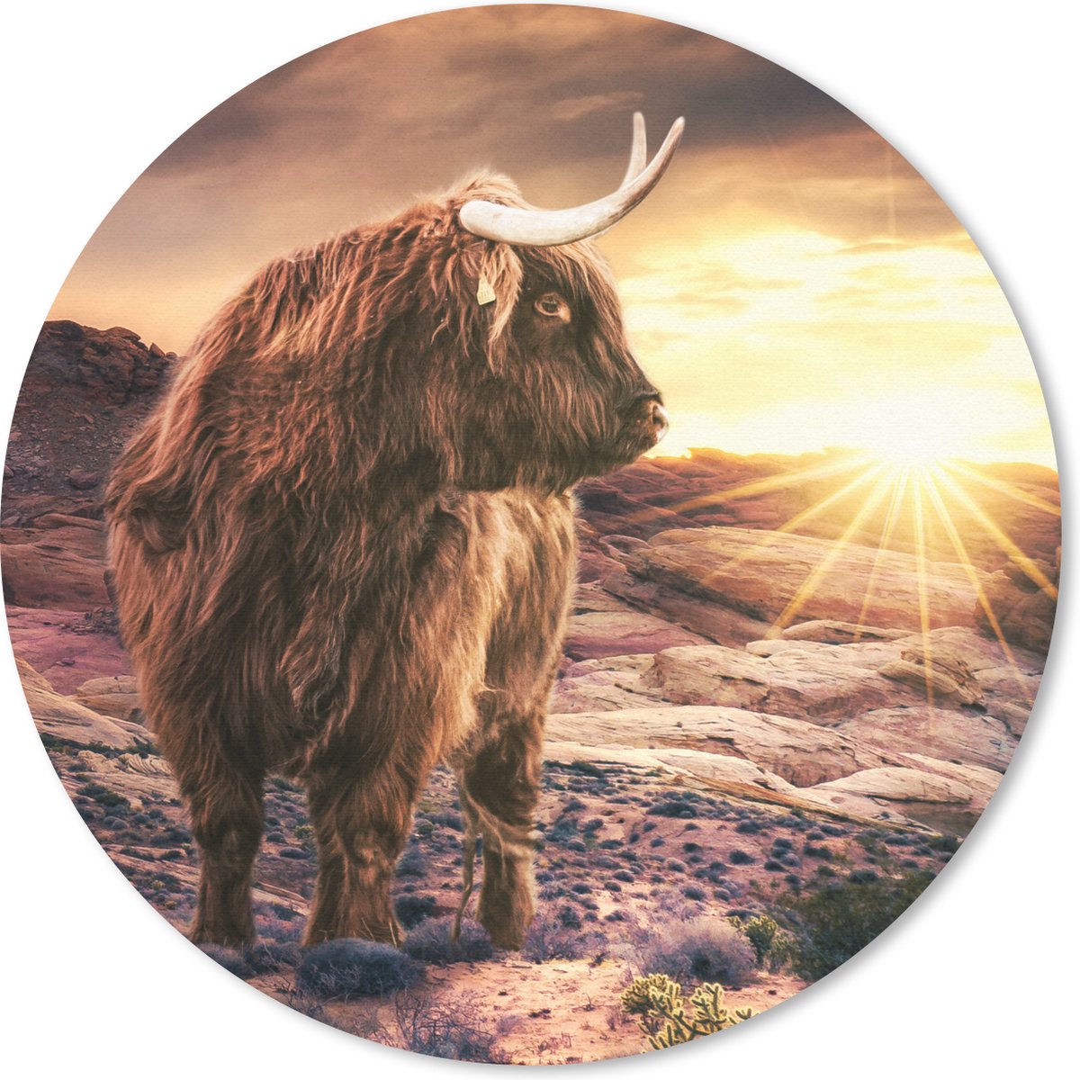 Muismat rond 30x30 cm - Mousepad Koe - Schotse hooglander - Stenen - Ronde muismatten