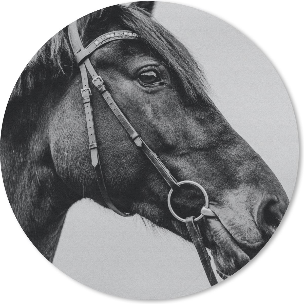 Muismat rond 20x20 cm - Mousepad Paard - Halster - Portret - Ronde muismatten