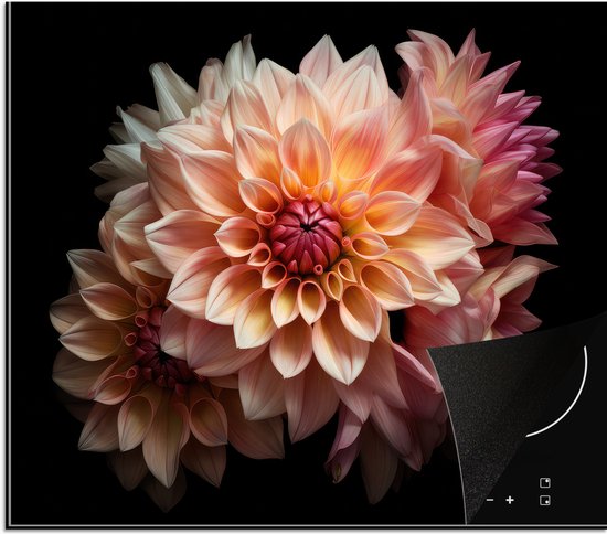 KitchenYeah® Inductie beschermer 59x52 cm - Dahlia - Bloemen - Roze - Zwart - Botanisch - Kookplaataccessoires - Afdekplaat voor kookplaat - Inductiebeschermer - Inductiemat - Inductieplaat mat