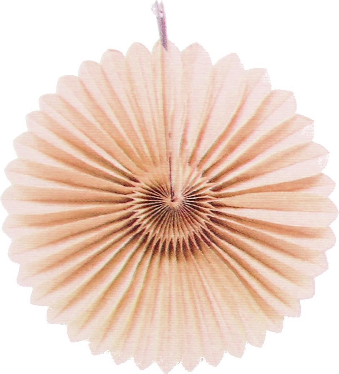 Party Stars Decoratiebloemen 25 Cm Lichtroze 2 Stuks