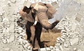 Fotobehang - Vlies Behang - Olifant door Stenen Muur 3D - 368 x 254 cm