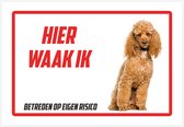 Bord | Waakbord | "Hier waak ik" | 30 x 20 cm | Poedel | 1 mm | Poedelhond | Gevaarlijke hond | Waakhond | Hond | Betreden op eigen risico | Polystyreen | Rechthoek | Witte achtergrond | 1 stuk