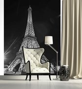 Paris Eiffel Tower Photo Wallcovering