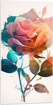 Acrylglas - Abstracte Roos van Verschillende Kleuren op Witte Achtergrond - 50x100 cm Foto op Acrylglas (Met Ophangsysteem)