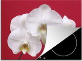 KitchenYeah® Inductie beschermer 70x52 cm - Witte orchidee op rood - Kookplaataccessoires - Afdekplaat voor kookplaat - Inductiebeschermer - Inductiemat - Inductieplaat mat
