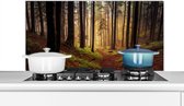 Spatscherm keuken 100x50 cm - Kookplaat achterwand Bomen - Natuur - Bos - Muurbeschermer - Spatwand fornuis - Hoogwaardig aluminium