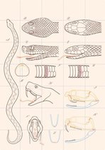 IXXI Serpent - Anatomie - Wanddecoratie - Dieren en insecten - 100 x 140 cm