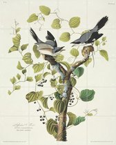 IXXI Loggerhead shrike - Wanddecoratie - Dieren en insecten - 80 x 100 cm