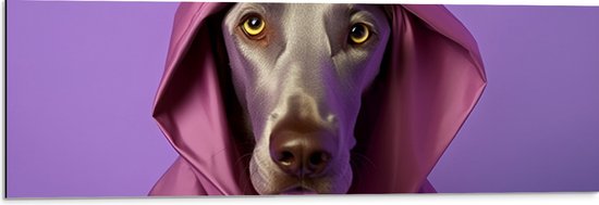 Dibond - Portret van Bruine Duitse Dog Hond in Roze Regenjas - 90x30 cm Foto op Aluminium (Met Ophangsysteem)