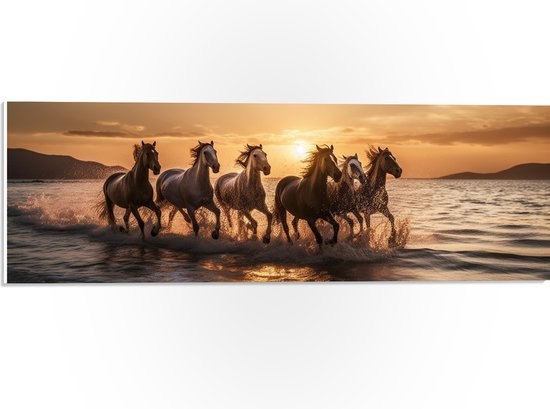 PVC Schuimplaat - Kudde Galopperende Paarden in de Zee bij Zonsondergang - 60x20 cm Foto op PVC Schuimplaat (Met Ophangsysteem)