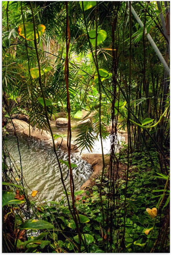 Verticale foto van een tropische jungle met dicht gebladerte en een kleine rivier tussen rotsen.