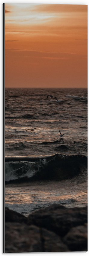 Dibond - Oceaan - Zee - Rotsen - Stenen -Dieren - Vogels - Meeuwen - Golven - 20x60 cm Foto op Aluminium (Met Ophangsysteem)