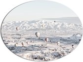 Dibond Ovaal - Landschap - Berg - Heuvels - Sneeuw - Luchtballonnen - 80x60 cm Foto op Ovaal (Met Ophangsysteem)