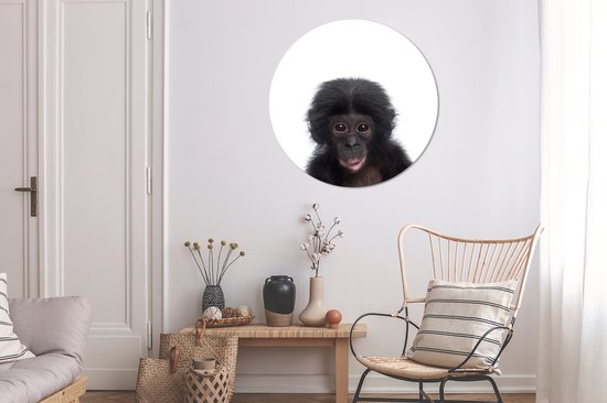 Cercle mural animaux - Cercle mural - Singe - Chimpanzé - Animaux - Enfants - Décoration murale garçons - Décoration murale filles - 90x90 cm - Plastique
