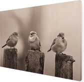 Art for the Home | Vroege Vogels - Buitencanvas - Sepia - 50x70 cm