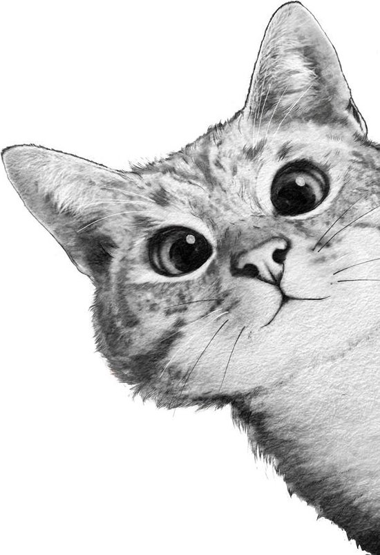 JUNIQE - Canvas doeken Sneaky Cat illustratie -60x90 /Grijs