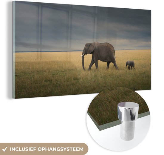 MuchoWow® Glasschilderij 80x40 cm - Schilderij acrylglas - Olifant - Savanne - Dieren - Natuur - Foto op glas - Schilderijen